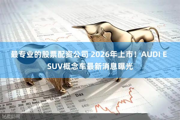 最专业的股票配资公司 2026年上市！AUDI E SUV概念车最新消息曝光