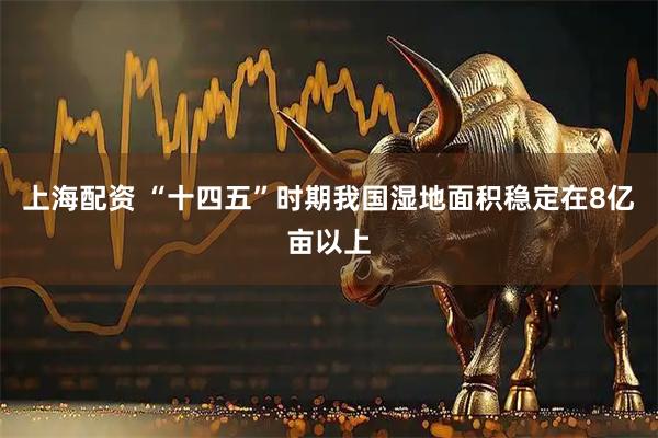 上海配资 “十四五”时期我国湿地面积稳定在8亿亩以上