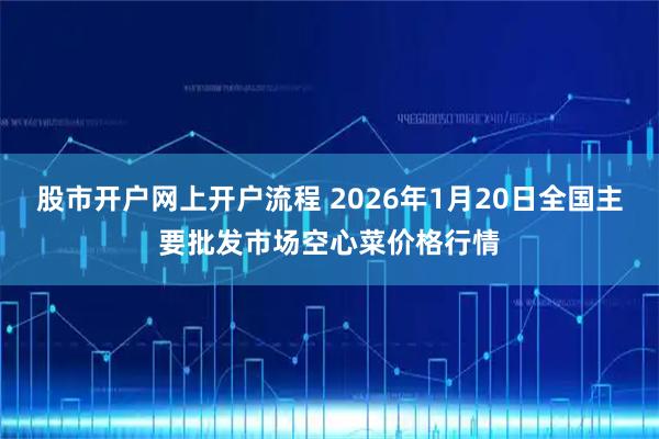 股市开户网上开户流程 2026年1月20日全国主要批发市场空心菜价格行情
